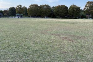 びわこ地球市民の森の広い芝生広場